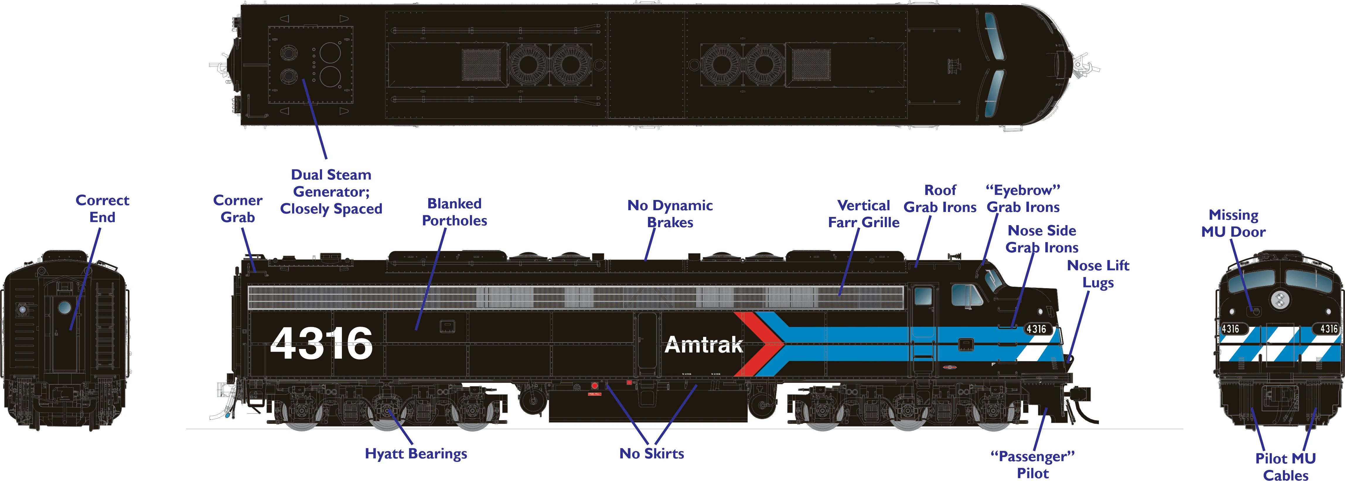 AMT-black-d